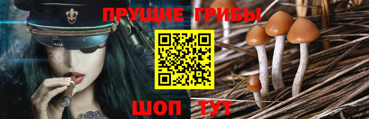 Псилоцибиновые грибы мицелий  Псилоцибиновые грибы ЛСД  Глазов  Вход с VPN 