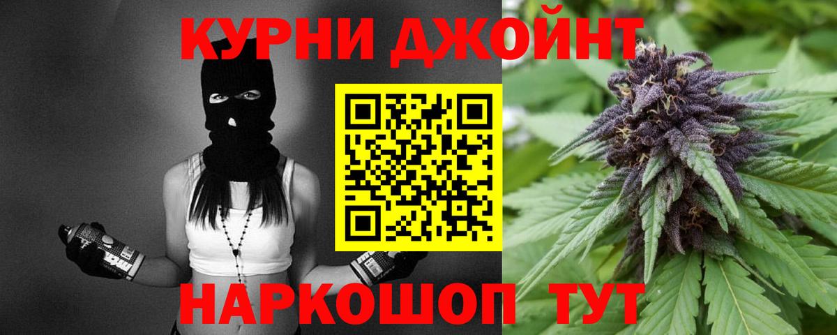 Конопля гибрид Глазов